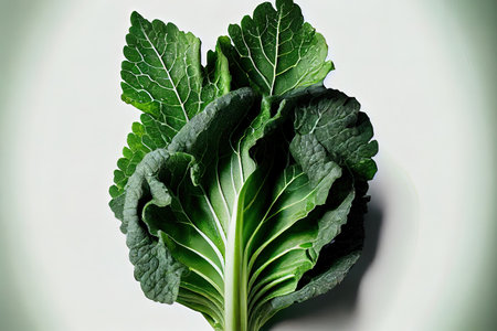 Fresh One natural Greens Ai generativeの素材
