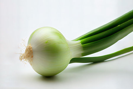Wonderful One natural Green Onions Ai generativeの素材