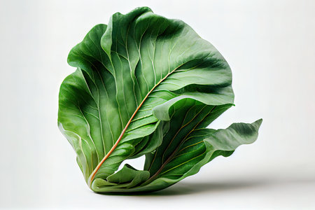 Fresh One natural Greens Ai generativeの素材