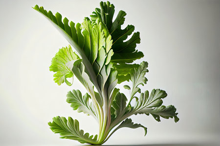 Healthy One natural Greens Ai generativeの素材