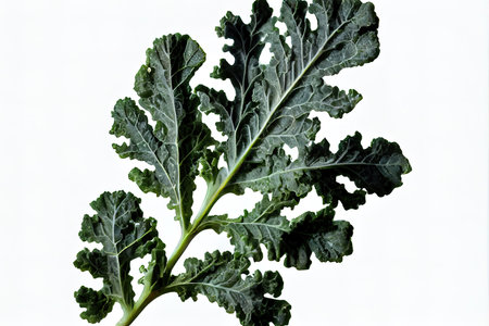 Nutritious One natural Kale Ai generativeの素材