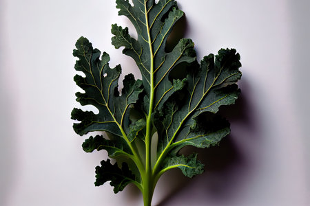 Beneficial One natural Kale Ai generativeの素材
