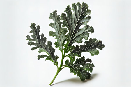 Beneficial One natural Kale Ai generativeの素材