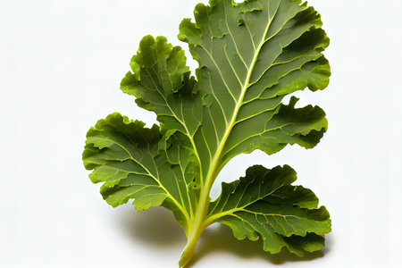 Special One natural Mustard Greens Ai generativeの素材