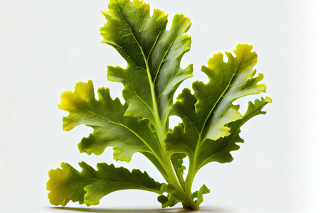 Healthy One natural Mustard Greens Ai generativeの素材