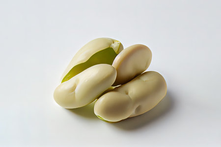 Useful One natural Lima Beans Ai generativeの素材