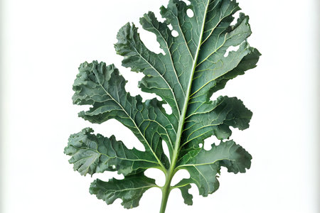 Healthy One natural Kale Ai generativeの素材
