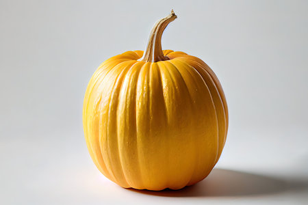 Orange Ripe Pumpkin Isolated on Transparent Background Ai generativeの素材