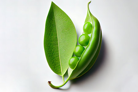 Nutritious One natural Snap Sugar Peas Ai generativeの素材