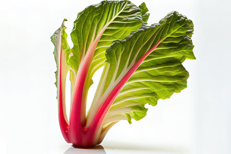 Fresh One natural Rhubarb Ai generativeの素材