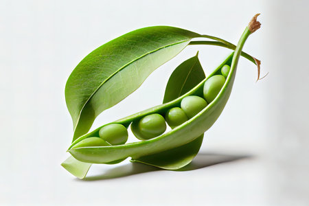 Delicious One natural Snap Sugar Peas Ai generativeの素材