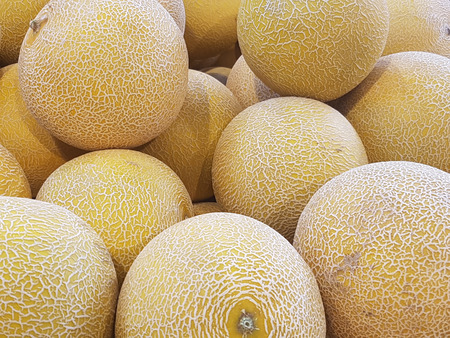 Sweet galia melons in a fruit store