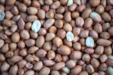 Bird food. peanuts ready to eat for the birds