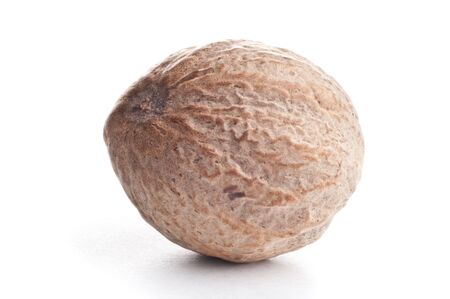One dry nutmeg over white seamless backgroundの写真素材