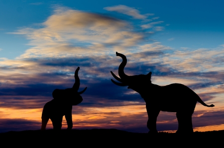 Two elephant silhouettes trumpeting in the sunset with cloudy skyの写真素材