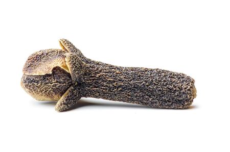 Single clove spice macro over white backgroundの写真素材