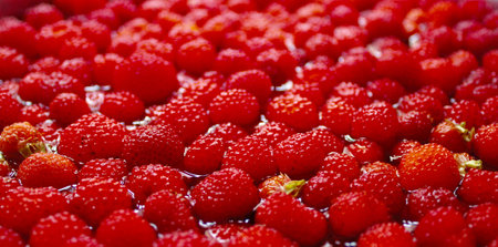 Red berry
