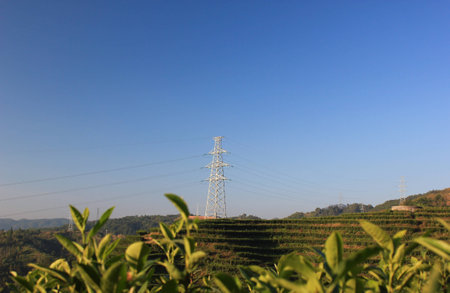 Power Tower