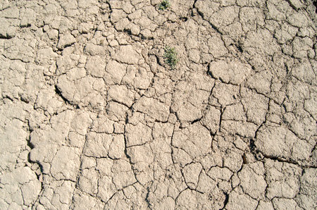 Dry cracked swamp land. Drought, texture.の写真素材