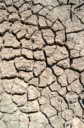 Dry cracked swamp land. Drought, texture.の写真素材