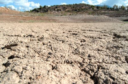 Landscape with dry cracked swamp land, drought.の写真素材
