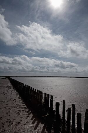 wooden breakwater in the Wadden Sea, an UNESCO World Heritage Site