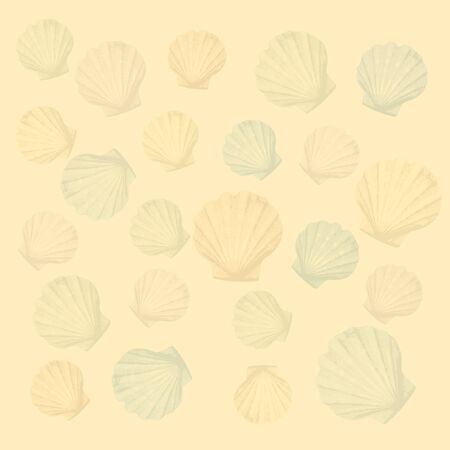 shells backgroundのイラスト素材