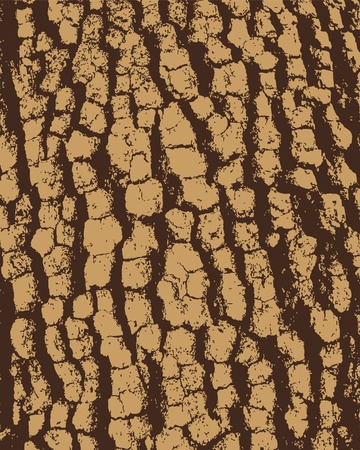 Bark backgroundのイラスト素材