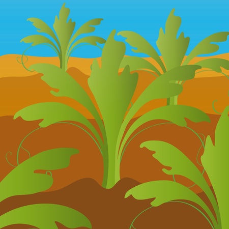 plant decorationのイラスト素材