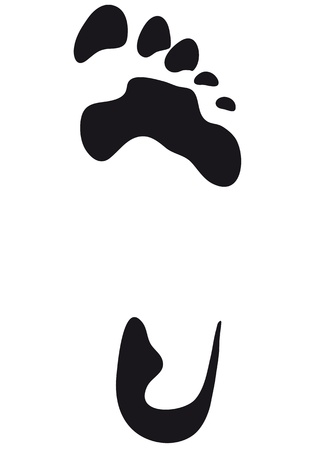 foot printのイラスト素材