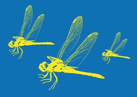 Dragonflyのイラスト素材