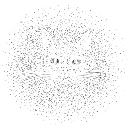 catのイラスト素材