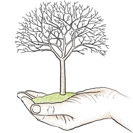 hand holding a treeのイラスト素材