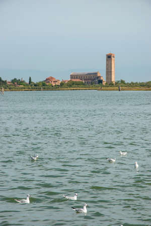 Torcello Island in the Venetian Lagoon, City of Venice, Italy, Europeの写真素材