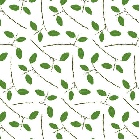 Decorative background with citrus plant parts, seamless pattern.のイラスト素材