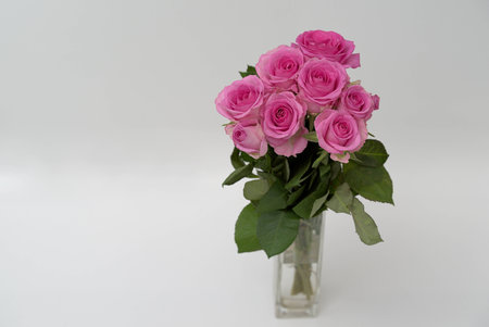 Pink roses in the vaseの写真素材