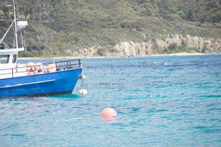Fishing boat vessel anchoring in Tasmanian harbour, with coastline