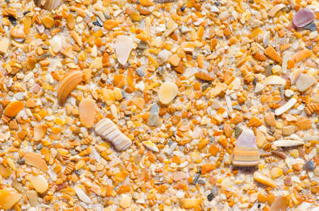 Colorful sand, stones and shells at beach as Natural texture design background