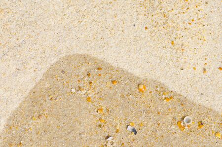 sand and shells at wet and dry beach.