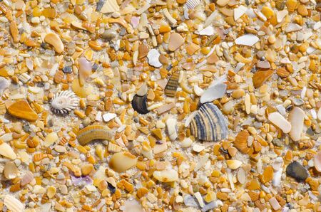 Colorful sand, stones and shells at beach
