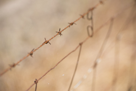 Detail of rusty barb wire fence on blurred background outdoor and copy space.の写真素材
