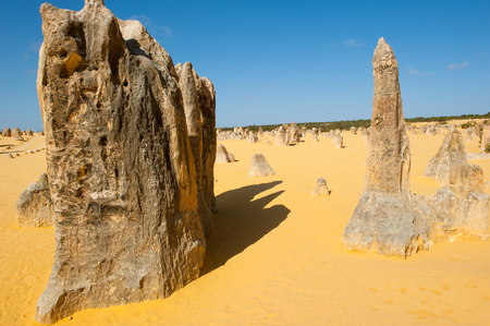 Scenic Desert landscape of Pinnacles in Nambung National Park, in remote outback of Western Australia, blue sky, horizon, copy space.の写真素材