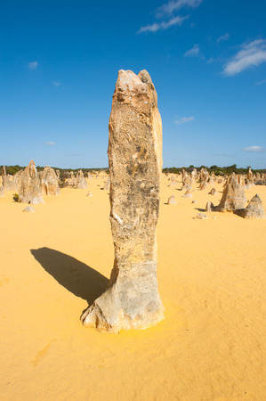Desert landscape of Pinnacles in Nambung National Park, in remote outback of Western Australia, blue sky, horizon, copy space.の写真素材