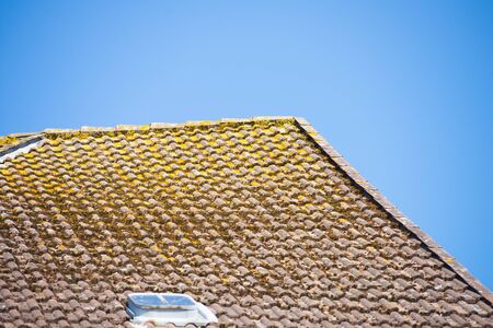 Moss covering old wet weathered roof of house, with blue sky as background and copy space.の写真素材