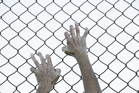 Bleached filtered image of Hands in desperate grip on mesh wired fence, symbolising captivity,...
