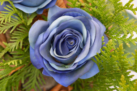 Dark blue fake rose, centered closeup.の写真素材
