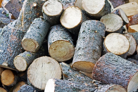 Firewoodの写真素材