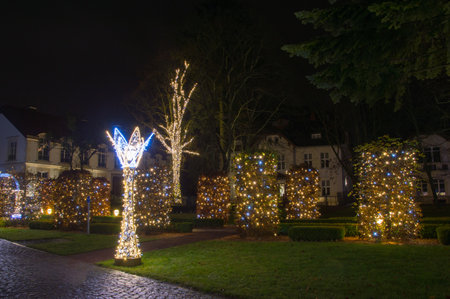 Gdansk, Poland - December 5, 2017: Winter christmas illumination at night in Oliwa park in Gdansk.のeditorial素材