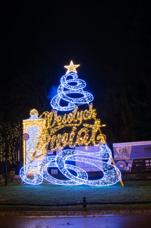 Gdansk, Poland - December 5, 2017: Winter christmas tree illumination at night in Oliwa park in Gdansk.のeditorial素材