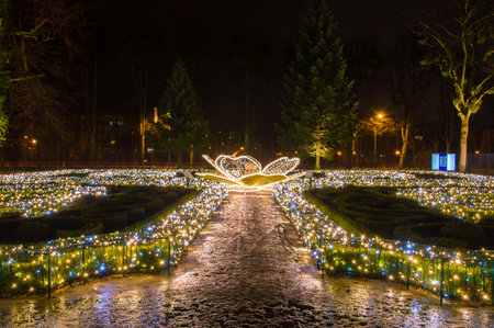 Gdansk, Poland - December 5, 2017: Beautiful Christmas illumination at night in Oliwa park in Gdansk.のeditorial素材